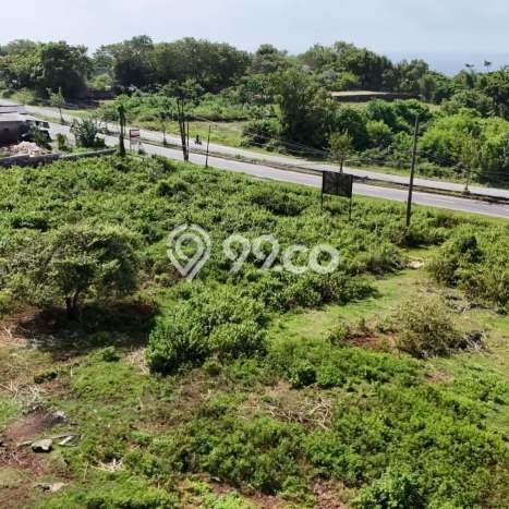 Tanah Kosong Dijual di Badung dengan Area 6500m2 Tanah Kosong Dijual di Badung dengan Area 6500m2