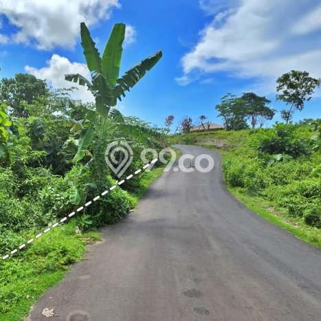 Tanah Dijual di Badung Seluas 1263m2 Strategis Tanah Dijual di Badung Seluas 1263m2 Strategis