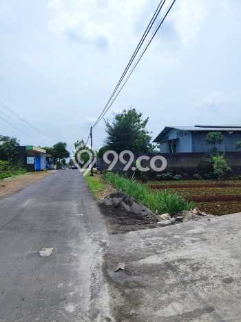 Area Strategis! Disewakan Gudang Lokasi Gondangrejo, Karanganyar Cocok untuk Bisnis Area Strategis! Disewakan Gudang Lokasi Gondangrejo, Karanganyar Cocok untuk Bisnis
