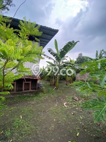 Tanah Dijual Lokasi Wiyung, Surabaya dengan Luas Tanah 5020m2 dan Status SHM Tanah Dijual Lokasi Wiyung, Surabaya dengan Luas Tanah 5020m2 dan Status SHM