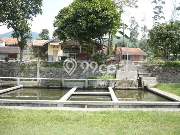 Rumah Budget Terbaik Dijual Area Ciwidey LT 4735m2 Rumah Budget Terbaik Dijual Area Ciwidey LT 4735m2