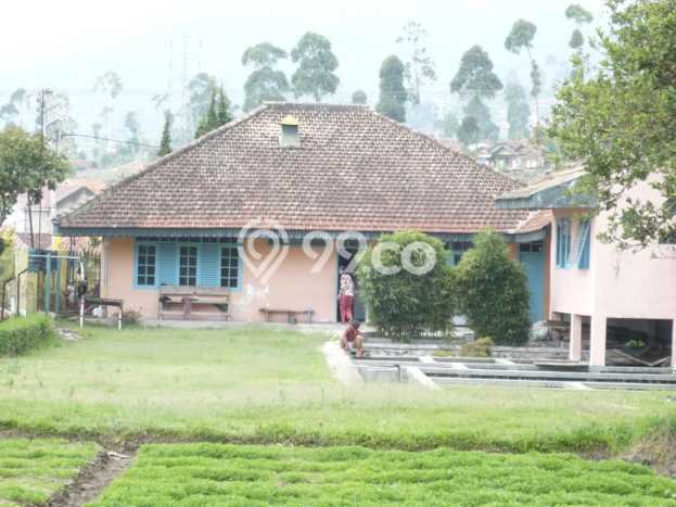 Rumah Budget Terbaik Dijual Area Ciwidey LT 4735m2 Rumah Budget Terbaik Dijual Area Ciwidey LT 4735m2