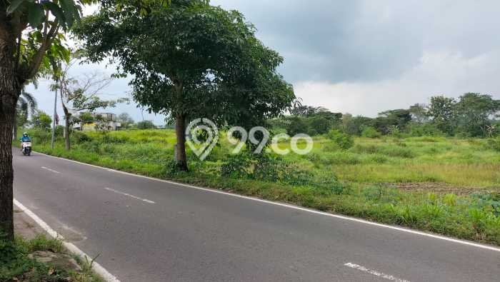 Tanah Dijual Lokasi Polanharjo, Klaten Luas 2160m2 Legalitas Aman Tanah Dijual Lokasi Polanharjo, Klaten Luas 2160m2 Legalitas Aman