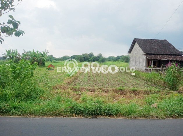 Lahan untuk Dijual Lokasi Teras, Boyolali Luas 2150m2 SHM Lahan untuk Dijual Lokasi Teras, Boyolali Luas 2150m2 SHM