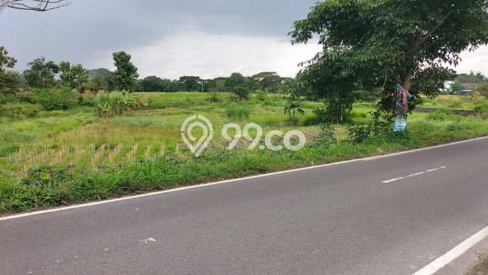 Tanah Dijual Lokasi Polanharjo, Klaten Luas 2160m2 Legalitas Aman Tanah Dijual Lokasi Polanharjo, Klaten Luas 2160m2 Legalitas Aman