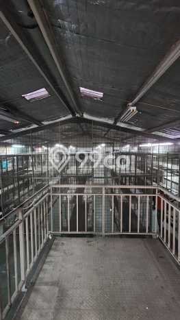 Unit Gudang Dijual di Jakarta Utara LT 180m2 & LB 250m2 Unit Gudang Dijual di Jakarta Utara LT 180m2 & LB 250m2