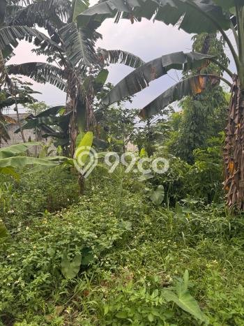 Tanah Dijual Lokasi Cibinong, Bogor dengan Luas Tanah 18000m2 dan Status SHM Tanah Dijual Lokasi Cibinong, Bogor dengan Luas Tanah 18000m2 dan Status SHM