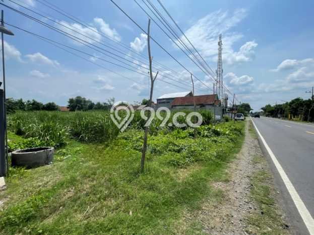 Jarang Ada! Tanah di Papar Punya Luas 2075m2 SHM Jarang Ada! Tanah di Papar Punya Luas 2075m2 SHM