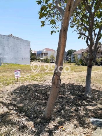 Tanah Kavling Dijual di Pakuwon Indah, Surabaya dengan Luas Tanah 1100m2 Tanah Kavling Dijual di Pakuwon Indah, Surabaya dengan Luas Tanah 1100m2