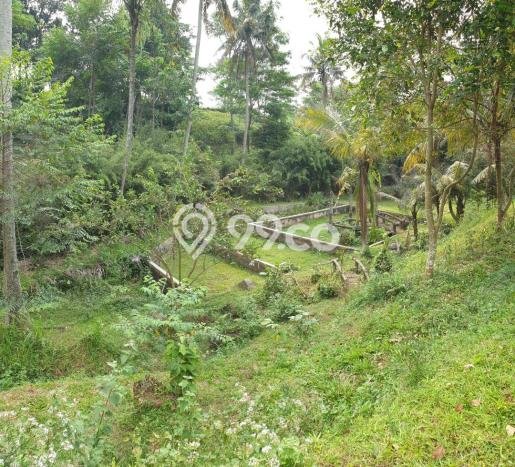 Untuk Dijual! Gudang di Muara Sari Bogor LT 10000m2 / LB 0m2 Kawasan Strategis Untuk Dijual! Gudang di Muara Sari Bogor LT 10000m2 / LB 0m2 Kawasan Strategis