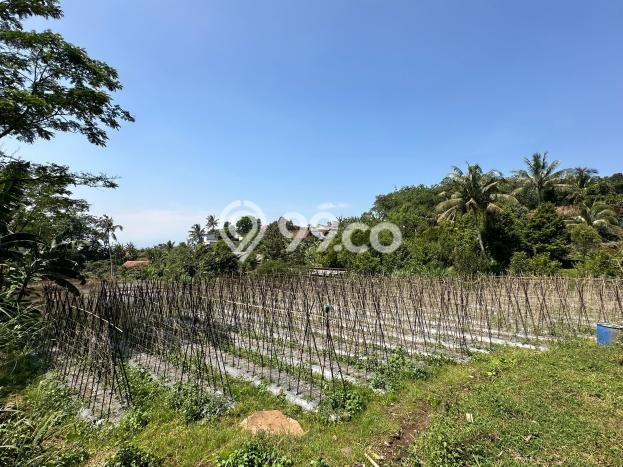 Lahan untuk Dijual Lokasi Cijeruk, Bogor Luas 16000m2 SHM Lahan untuk Dijual Lokasi Cijeruk, Bogor Luas 16000m2 SHM
