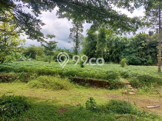 AREA PROSPEKTIF! Tanah di Cibinong, Luas 6389m², Akses Fasilitas Umum, Kawasan Potensial AREA PROSPEKTIF! Tanah di Cibinong, Luas 6389m², Akses Fasilitas Umum, Kawasan Potensial
