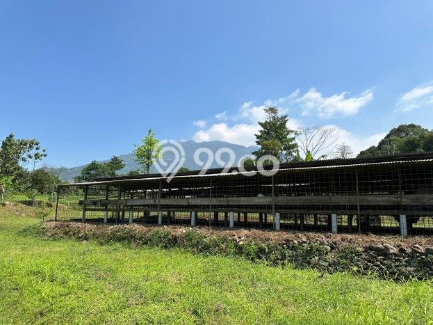 Lahan untuk Dijual Lokasi Cijeruk, Bogor Luas 16000m2 SHM Lahan untuk Dijual Lokasi Cijeruk, Bogor Luas 16000m2 SHM