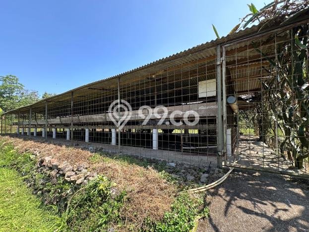 Lahan untuk Dijual Lokasi Cijeruk, Bogor Luas 16000m2 SHM Lahan untuk Dijual Lokasi Cijeruk, Bogor Luas 16000m2 SHM
