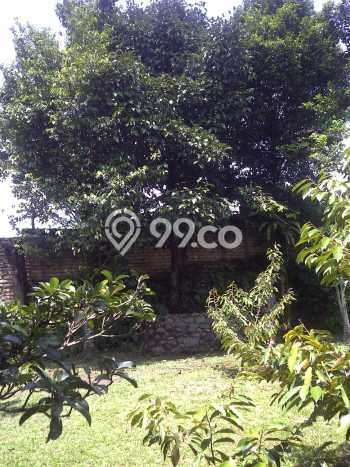 Lahan untuk Dijual Lokasi Cihideung, Tasikmalaya Luas 1980m2 SHM Lahan untuk Dijual Lokasi Cihideung, Tasikmalaya Luas 1980m2 SHM