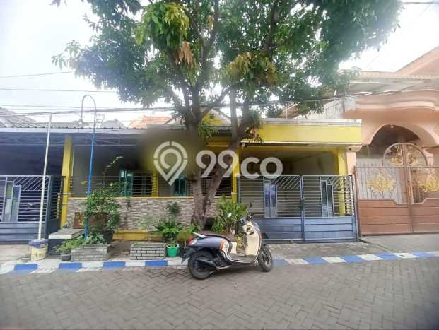 Jual Rumah Minimalis Bagus Punya 3 KT di Sedati Sidoarjo SHM Jual Rumah Minimalis Bagus Punya 3 KT di Sedati Sidoarjo SHM