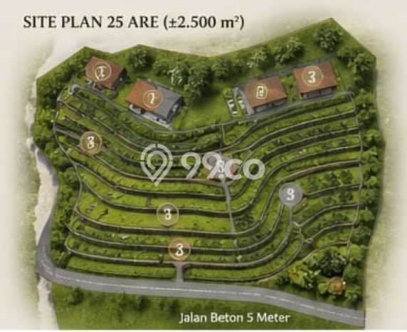 Tanah Kavling di Buleleng Dijual dengan Luas 2500m2 Tanah Kavling di Buleleng Dijual dengan Luas 2500m2