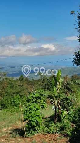 Tanah Kavling di Buleleng Dijual dengan Luas 2500m2 Tanah Kavling di Buleleng Dijual dengan Luas 2500m2