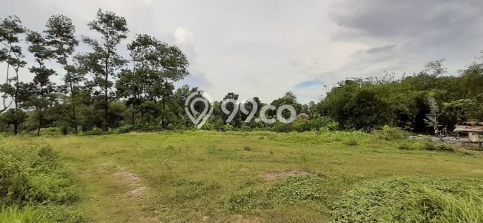 Tanah Dijual Lokasi Parung Panjang, Bogor Luas 3000m2 Legalitas Aman Tanah Dijual Lokasi Parung Panjang, Bogor Luas 3000m2 Legalitas Aman