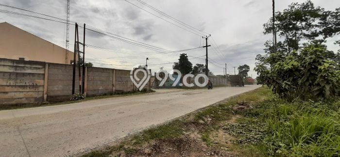 Tanah Dijual Lokasi Parung Panjang, Bogor Luas 3000m2 Legalitas Aman Tanah Dijual Lokasi Parung Panjang, Bogor Luas 3000m2 Legalitas Aman