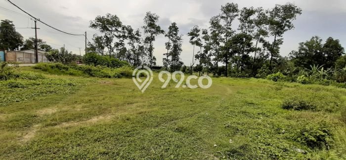 Tanah Dijual Lokasi Parung Panjang, Bogor Luas 3000m2 Legalitas Aman Tanah Dijual Lokasi Parung Panjang, Bogor Luas 3000m2 Legalitas Aman