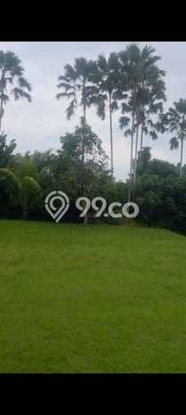 Kavling Tanah di Bedulu Dijual Luas 8800m2 Legalitas SHM Kavling Tanah di Bedulu Dijual Luas 8800m2 Legalitas SHM