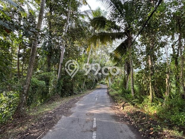 Tanah Kawasan Ubud, Luas 1037m2m², Sertifikat Hak Milik, Dekat Ubud, Gianyar, Gianyar Tanah Kawasan Ubud, Luas 1037m2m², Sertifikat Hak Milik, Dekat Ubud, Gianyar, Gianyar