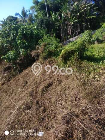 Kavling Tanah untuk Dijual di Batuaji, Tabanan, Luas 6700m2 Kavling Tanah untuk Dijual di Batuaji, Tabanan, Luas 6700m2