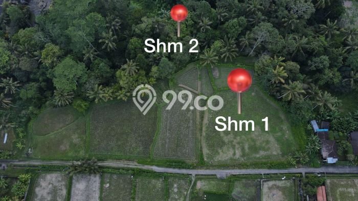 Tanah Strategis Dijual di Ubud Gianyar 3529m2 Tanah Strategis Dijual di Ubud Gianyar 3529m2