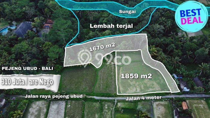 Tanah Strategis Dijual di Ubud Gianyar 3529m2 Tanah Strategis Dijual di Ubud Gianyar 3529m2