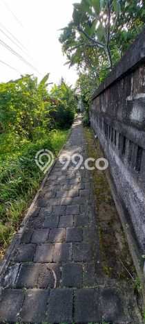 Guest house villa murah di ubud full penghuni dan langka Guest house villa murah di ubud full penghuni dan langka