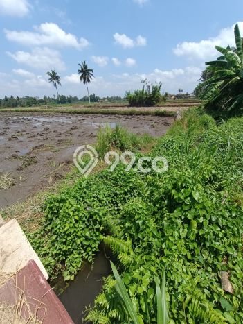 Lahan Kosong Dijual di Gianyar dengan Area 1000m2 Lahan Kosong Dijual di Gianyar dengan Area 1000m2