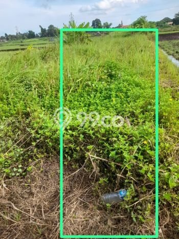 Jarang Ada! Tanah di Ubud Punya Luas 210m2 SHM Jarang Ada! Tanah di Ubud Punya Luas 210m2 SHM