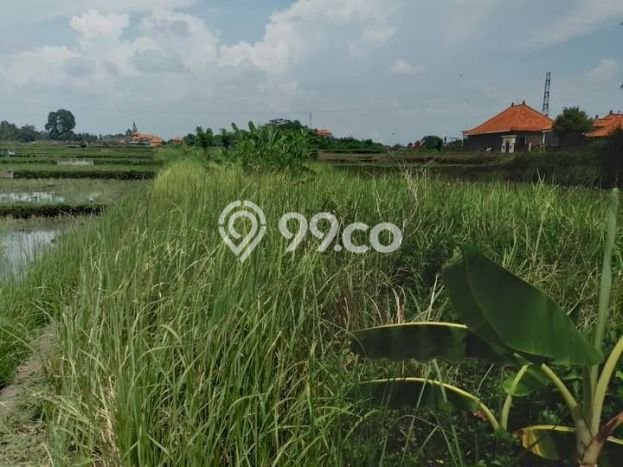 Jarang Ada! Tanah di Ubud Punya Luas 210m2 SHM Jarang Ada! Tanah di Ubud Punya Luas 210m2 SHM