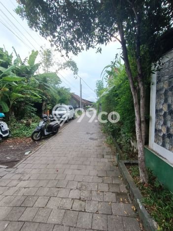 Rumah Modern Cantik 2 KT Bisa Langsung Pindah di Ubud Rumah Modern Cantik 2 KT Bisa Langsung Pindah di Ubud