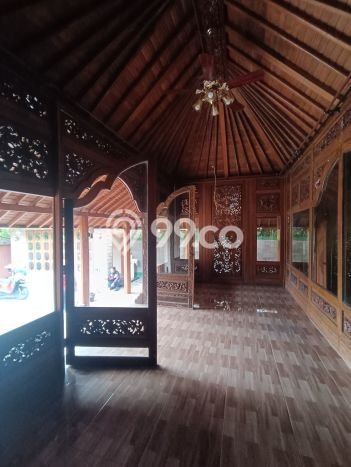 Rumah Modern Cantik 2 KT Bisa Langsung Pindah di Ubud Rumah Modern Cantik 2 KT Bisa Langsung Pindah di Ubud