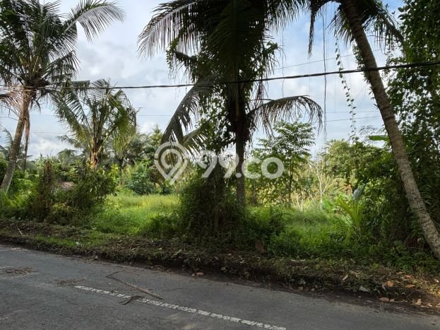 Tanah Kawasan Ubud, Luas 1037m2m², Sertifikat Hak Milik, Dekat Ubud, Gianyar, Gianyar Tanah Kawasan Ubud, Luas 1037m2m², Sertifikat Hak Milik, Dekat Ubud, Gianyar, Gianyar