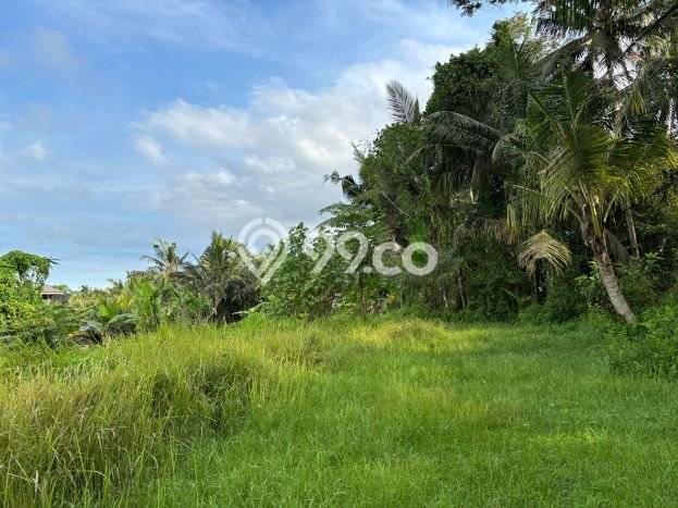 Tanah Kawasan Ubud, Luas 1037m2m², Sertifikat Hak Milik, Dekat Ubud, Gianyar, Gianyar Tanah Kawasan Ubud, Luas 1037m2m², Sertifikat Hak Milik, Dekat Ubud, Gianyar, Gianyar