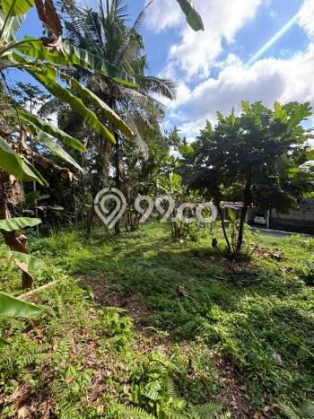 Tanah Strategis Dijual di Ubud Gianyar 400m2 Tanah Strategis Dijual di Ubud Gianyar 400m2
