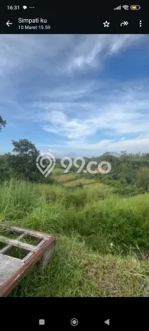 Tanah di Ubud, Gianyar Luas 244m2 Dijual Segera Tanah di Ubud, Gianyar Luas 244m2 Dijual Segera