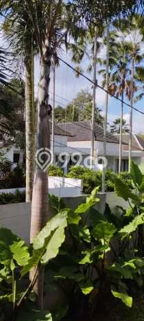 KESEMPATAN EMAS! Vila Kawasan Ubud, Ukuran 600m2m², Lingkungan Eksklusif dengan privasi terjaga KESEMPATAN EMAS! Vila Kawasan Ubud, Ukuran 600m2m², Lingkungan Eksklusif dengan privasi terjaga