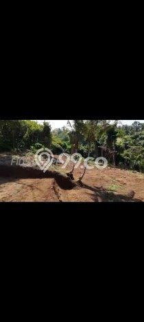 HARGA TERBAIK! Tanah Kawasan Ubud, Luas 2000m2m², Akses Jalan Utama, Area Potensial HARGA TERBAIK! Tanah Kawasan Ubud, Luas 2000m2m², Akses Jalan Utama, Area Potensial