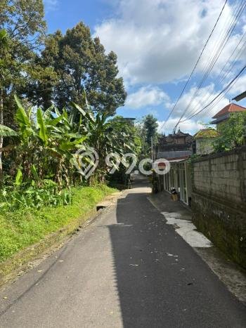 Tanah Strategis Dijual di Ubud Gianyar 400m2 Tanah Strategis Dijual di Ubud Gianyar 400m2