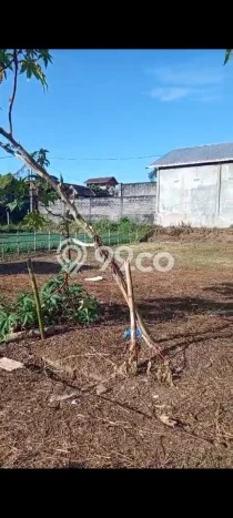 LOKASI STRATEGIS! Tanah Kawasan Bedugul, Luas 330m², Lokasi Potensial, Cocok untuk Hunian LOKASI STRATEGIS! Tanah Kawasan Bedugul, Luas 330m², Lokasi Potensial, Cocok untuk Hunian