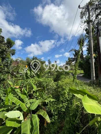 Untuk Dijual Tanah di Gianyar, Luas 205m2 SHM Untuk Dijual Tanah di Gianyar, Luas 205m2 SHM