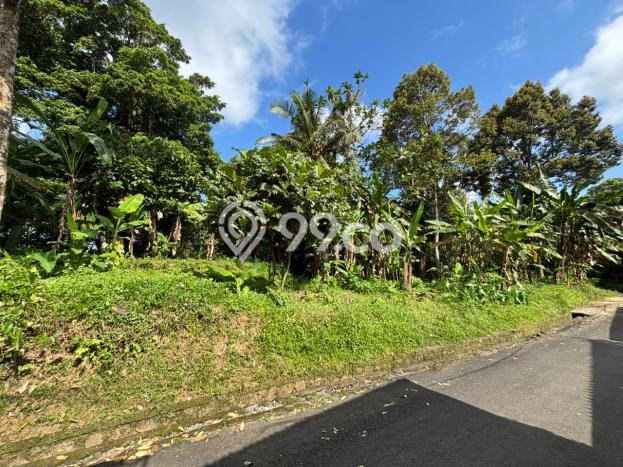 Tanah Strategis Dijual di Ubud Gianyar 400m2 Tanah Strategis Dijual di Ubud Gianyar 400m2