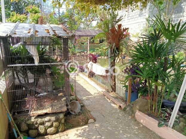 Dijual Rumah Minimalis Bagus Punya 4 KT di Banjaran Bandung SHM Dijual Rumah Minimalis Bagus Punya 4 KT di Banjaran Bandung SHM