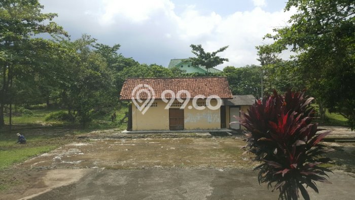 Rumah LT 23000m² Akses Strategis di Pandeglang, Dekat Fasilitas Umum, Pandeglang Rumah LT 23000m² Akses Strategis di Pandeglang, Dekat Fasilitas Umum, Pandeglang