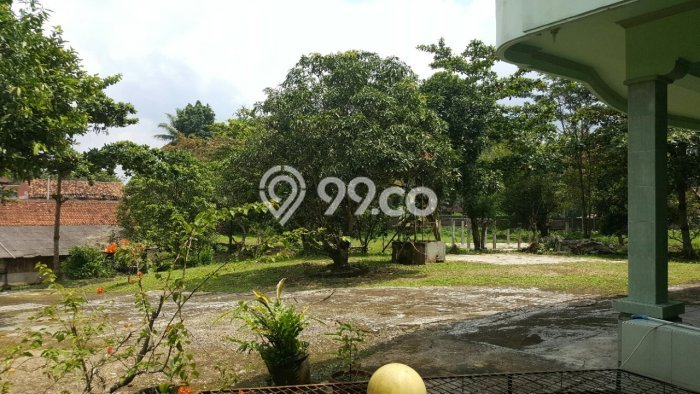 Rumah LT 23000m² Akses Strategis di Pandeglang, Dekat Fasilitas Umum, Pandeglang Rumah LT 23000m² Akses Strategis di Pandeglang, Dekat Fasilitas Umum, Pandeglang