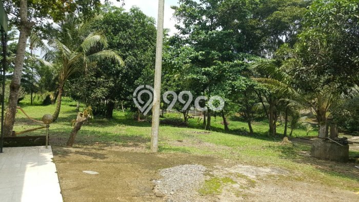 Rumah LT 23000m² Akses Strategis di Pandeglang, Dekat Fasilitas Umum, Pandeglang Rumah LT 23000m² Akses Strategis di Pandeglang, Dekat Fasilitas Umum, Pandeglang